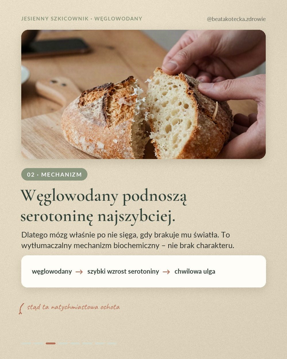 Czemu jesienią ciągnie do chleba i słodkiego – slajd 3